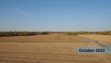open field